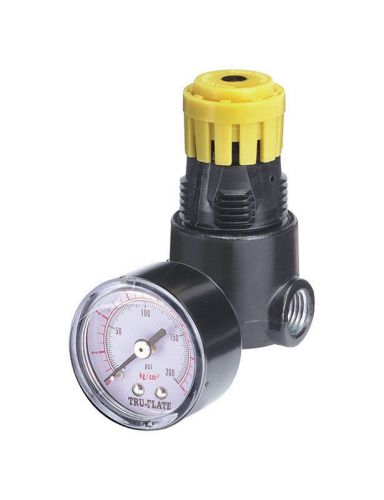 NEW! TRU-FLATE Mini Heavy Duty Regulator 1/4&#034; NPT 24444