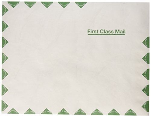 Tyvek Open End First-Class 1 x 13 Inch White Envelopes 1 Count