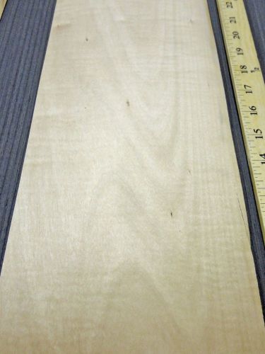 Maple Curly Figured wood veneer 6&#034; x 17&#034; raw with no backing &#034;A&#034; grade 1/42&#034;