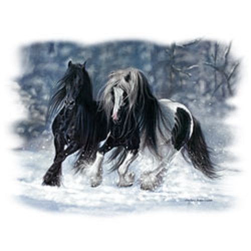 Gypsy Paint Horse HEAT PRESS TRANSFER for T Shirt Sweatshirt Fabric Tote 239