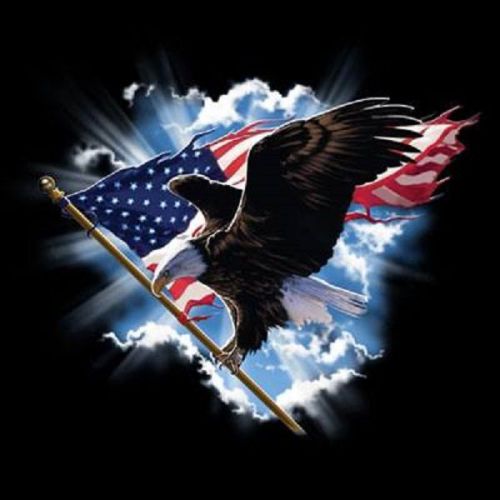 Eagle US Flag HEAT PRESS TRANSFER for T Shirt Sweatshirt Tote Quilt Fabric 018c