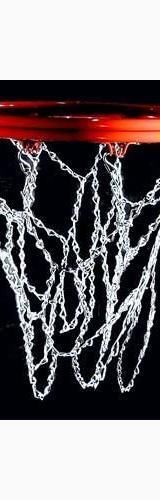Csi standard chain basketball net with s-hooks, new for sale