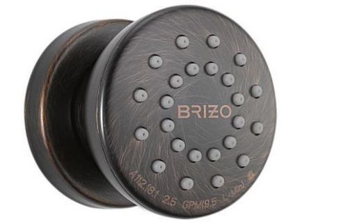 Brizo touch clean body spray w/rough-in valve 84110-rb - oil rubbed bronze for sale