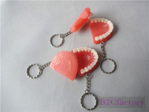 4PCS Teeth Model Keychain for Dentist Mobile Chain Dental Gift Online