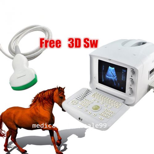 Vet animals ultrasound scanner/exam &amp; diagnostic machine + convex probe curved l for sale