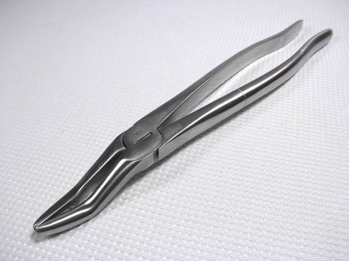 NEW EQUINE DENTAL 12&#034; WOLF TOOTH FORCEP HORSE VETERINARY