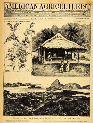 1891 cover brazilian coffee house rio janeiro shack agriculture farm aag1 for sale