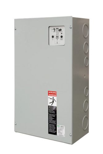 ASCO ULATSA165/200-3; 200 Amp, 2 pole, NEMA1, 2 wire, Automatic Transfer Switch