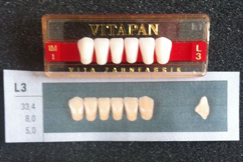 Vitapan Denture Teeth   L3    1M1