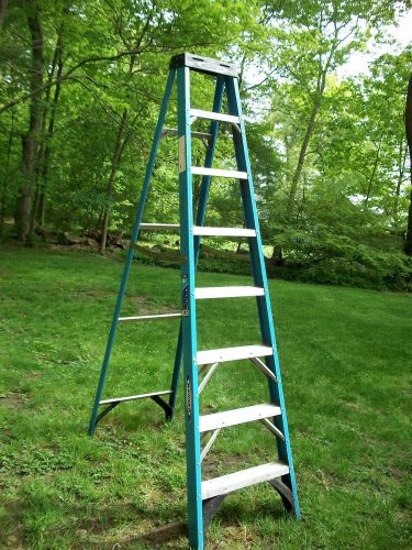 Blue 8&#039; Warner Fiberglass Step Ladder