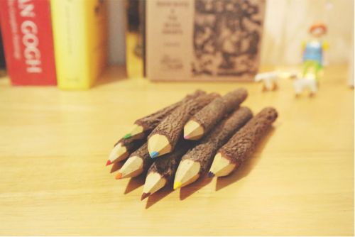 Magnet.inc magnet- Branch pencils branch wooden colored pencil