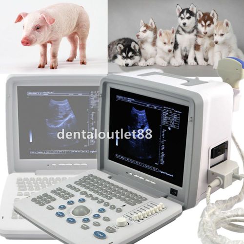 Sheep ultrasound goat ultrasound vet ultrasound machines veterinary covex probe for sale