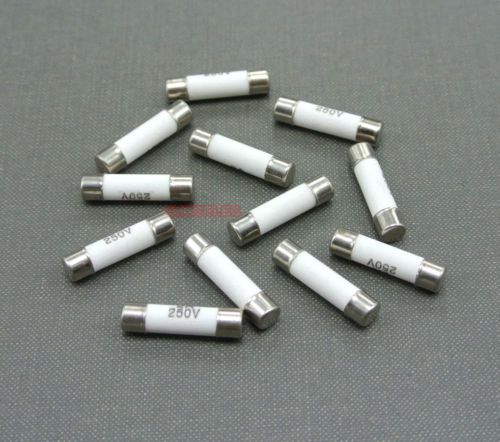 10pcs ceramic tube fuse 2a 250v fast blow type 5x20mm for sale