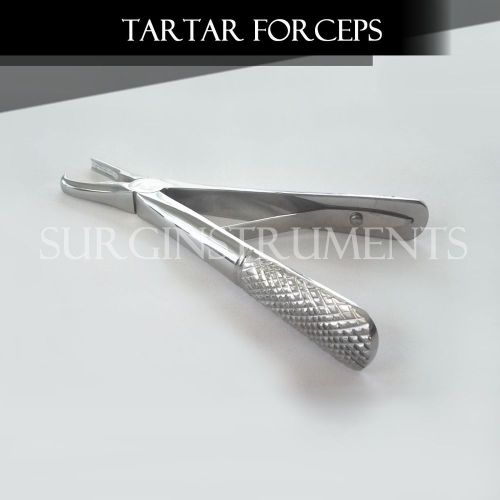 Tartar Remover Forceps Small Size 4 1/2 &#034; Dental Veterinary Dog Pet Canine