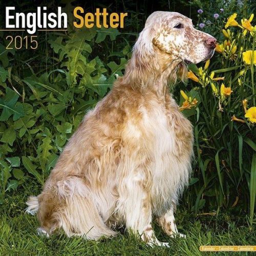 NEW 2015 English Setter Wall Calendar by Avonside- Free Priority Shipping!