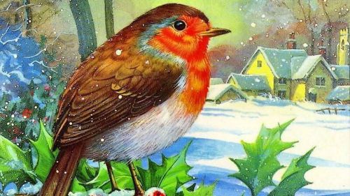 30 Personalized Return Address Labels Christmas Birds Buy 3 get 1 free (zz4)