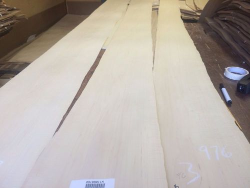 Wood Maple  Veneer  113x8,10,11.  total 3 pcs RAW VENEER  1/46 N976..