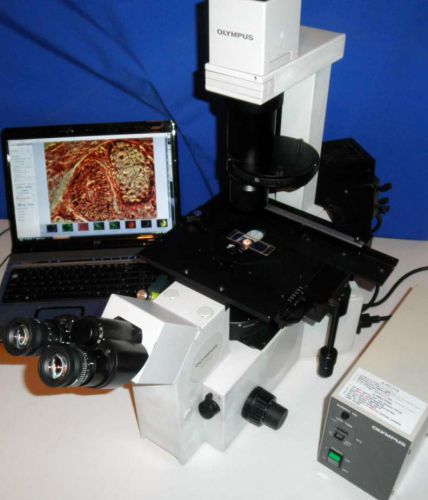 Olympus IX50  Fluorescence Phase Contrast Inverted Microscope