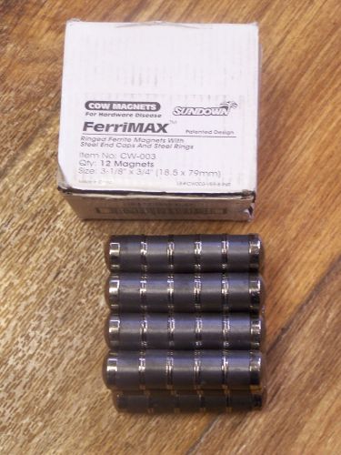 12 Sundown Ferrimax Ringed Ferrite Cow Magnets w/ Steel end caps &amp; rings  CW-003