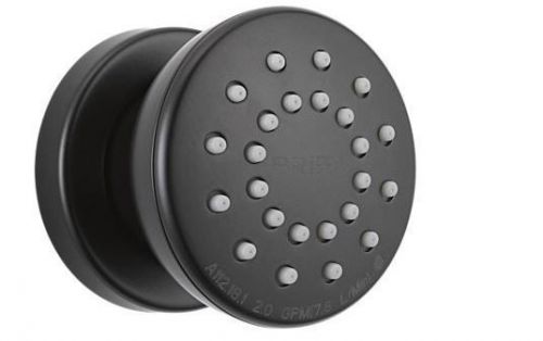 Brizo touch clean body spray w/rough-in valve 84110-bl - black for sale