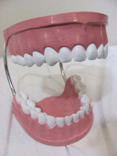 Large VTG plastic GUMS TEETH JAW Mouth WIRE DISPLAY DENTIST DECOR ORTHODONTIST