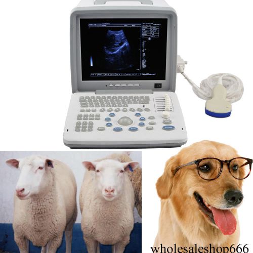 Veterinary vet full digital portable ultrasound scanner convex probe 3d software for sale