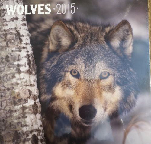 16-Month 2015 WOLVES Wall Calendar NEW &amp; SEALED Scenic Wild Animals in Nature