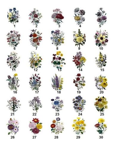 30 Personalized Return Address Flowers Bunches Labels Buy 3 get 1 free (vif6)