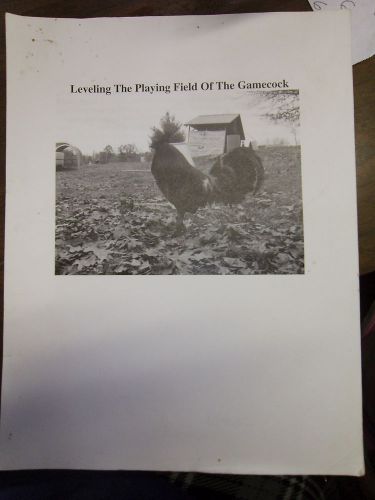 Leveling The Playing Field of the Gamecock Pamphlet