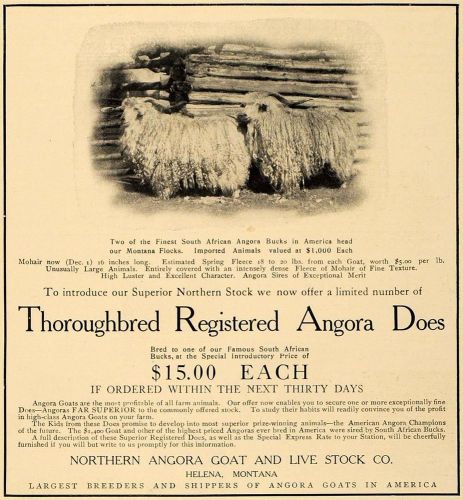 1906 Ad South African Angora Goat Montana Flocks Price - ORIGINAL CL8