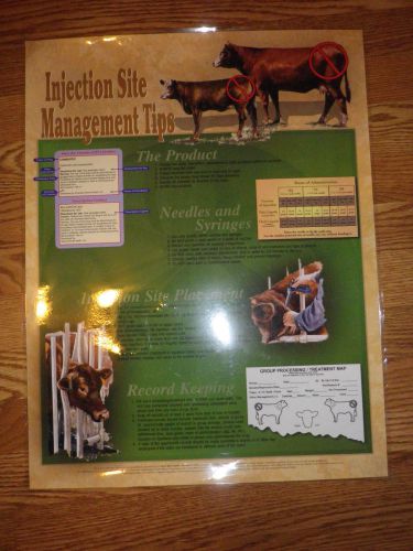Injection Site Management Tips Poster~Cattle~TBQP~22&#034; x 17&#034;