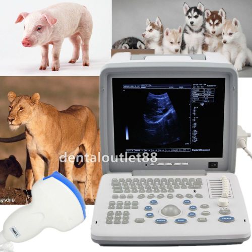 Full digital ultrasound machine for vet /animals/ venterinary clinic+covex probe for sale