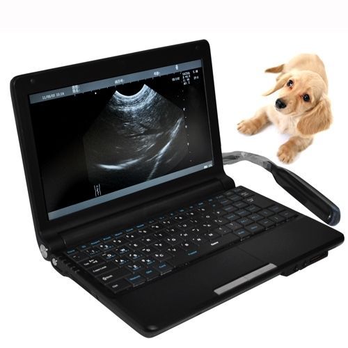 HOT, Full Digital Laptop Vet Ultrasound Scanner with Rectal Probe for animals