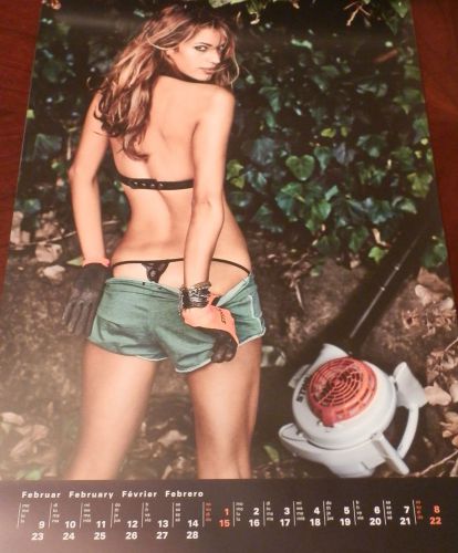 New Stihl 2015 Calendar,Chainsaws,Trimmers,Blowers and GIRLS!!!