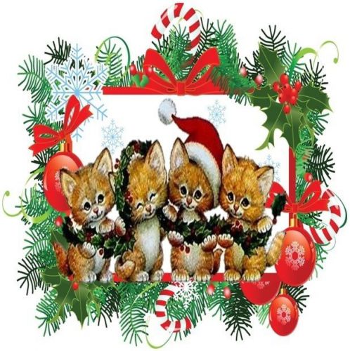 30 Personalized Christmas Animals Return Address Labels Gift Favor Tags (xa10)