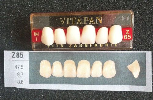 Vitapan Denture Teeth    Z85    1M1