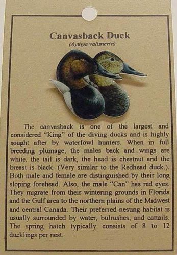 HAT PIN LAPEL PINS CANVASBACK DUCK  FREE SHIPPING