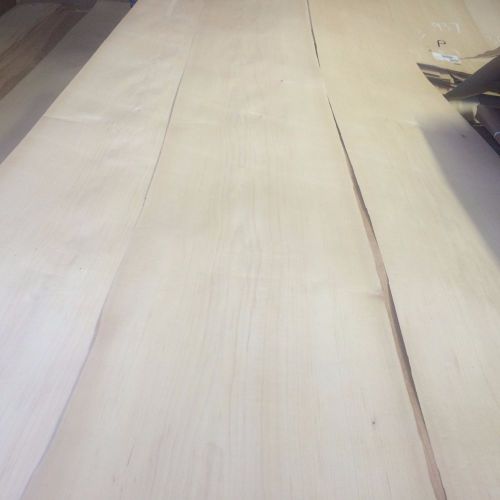 Wood Maple  Veneer  114x14,16,17,  total 3 pcs RAW VENEER  1/46 N938.