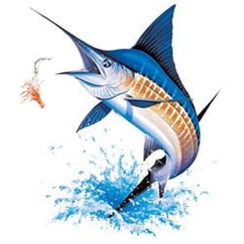 Blue Marlin Fishing HEAT PRESS TRANSFER PRINT for T Shirt Sweatshirt Fabric 248w