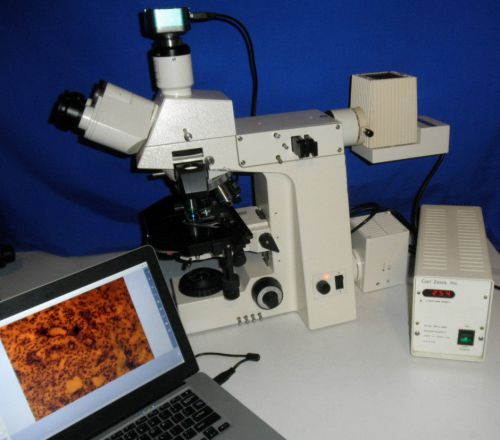 Zeiss Axioplan Fluorescence Universal Microscope