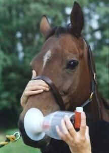 Vet Supply Equine Horse Inhaler