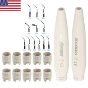 Dental Endo Perio Ultrasonic Scaler Tips Scaling Insert Tips Fit DTE Handpiece D