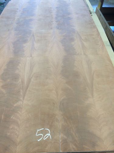 Wood Veneer Crotch Mahogany 38x98 1pcs total 3-ply Wood Backed &#034;EXOTIC&#034; CRLM52