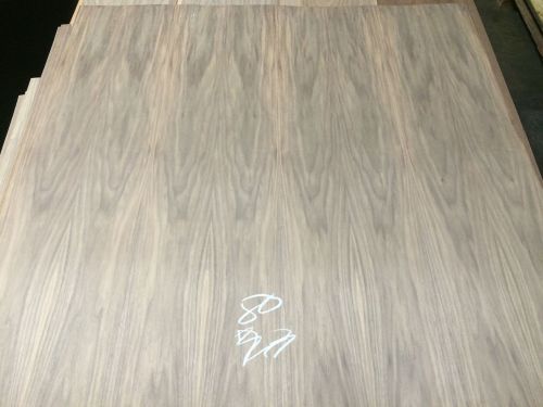 Wood Veneer Walnut 49x49 1pcs total 10Mil Paper Backed  &#034;EXOTIC&#034; RKO 80