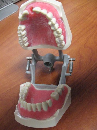 Typodont - Columbia Dentoform Model M-PVR-860 FSB-09 PLUS replacement teeth.