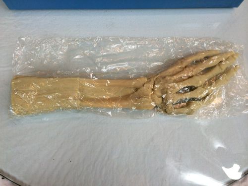 Vintage Nasco Lifeform Anatomical Hand (bone structure)