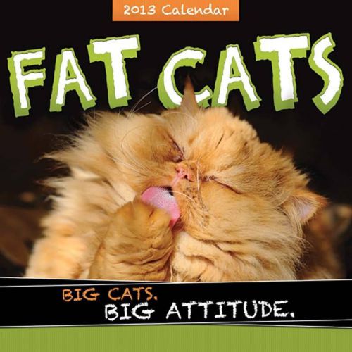Miles Kimball Fat Cats Calendar, Multi 