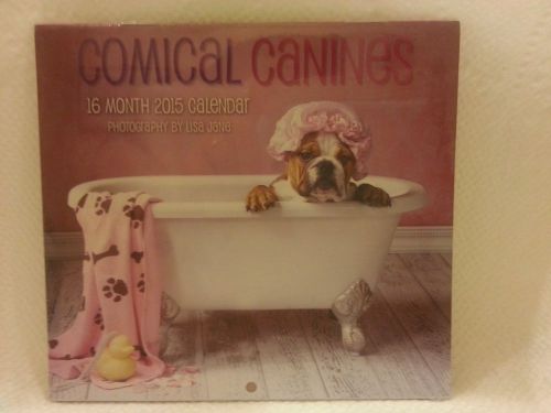 2015 16 Month Mini Wall Calendar (Comical Canines) - NEW factory sealed