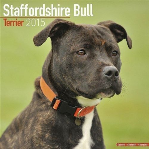 NEW 2015 Staffordshire Bull Terrier Wall Calendar by Avonside- Free Priority Shi