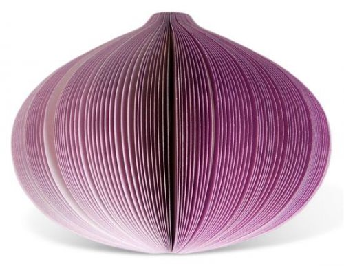 Red Onion Post it Notes-Great Gift for Home,Office,Kitchen,Fridge! Free Shipping